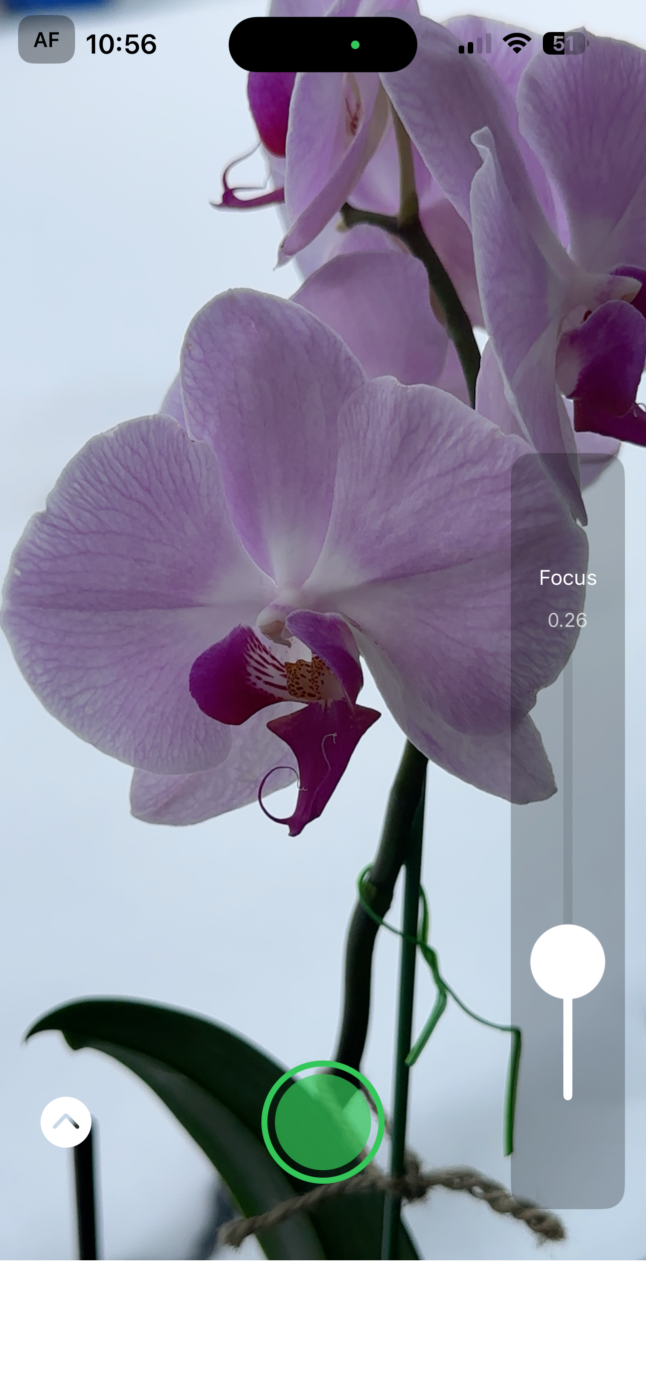 Example user interface