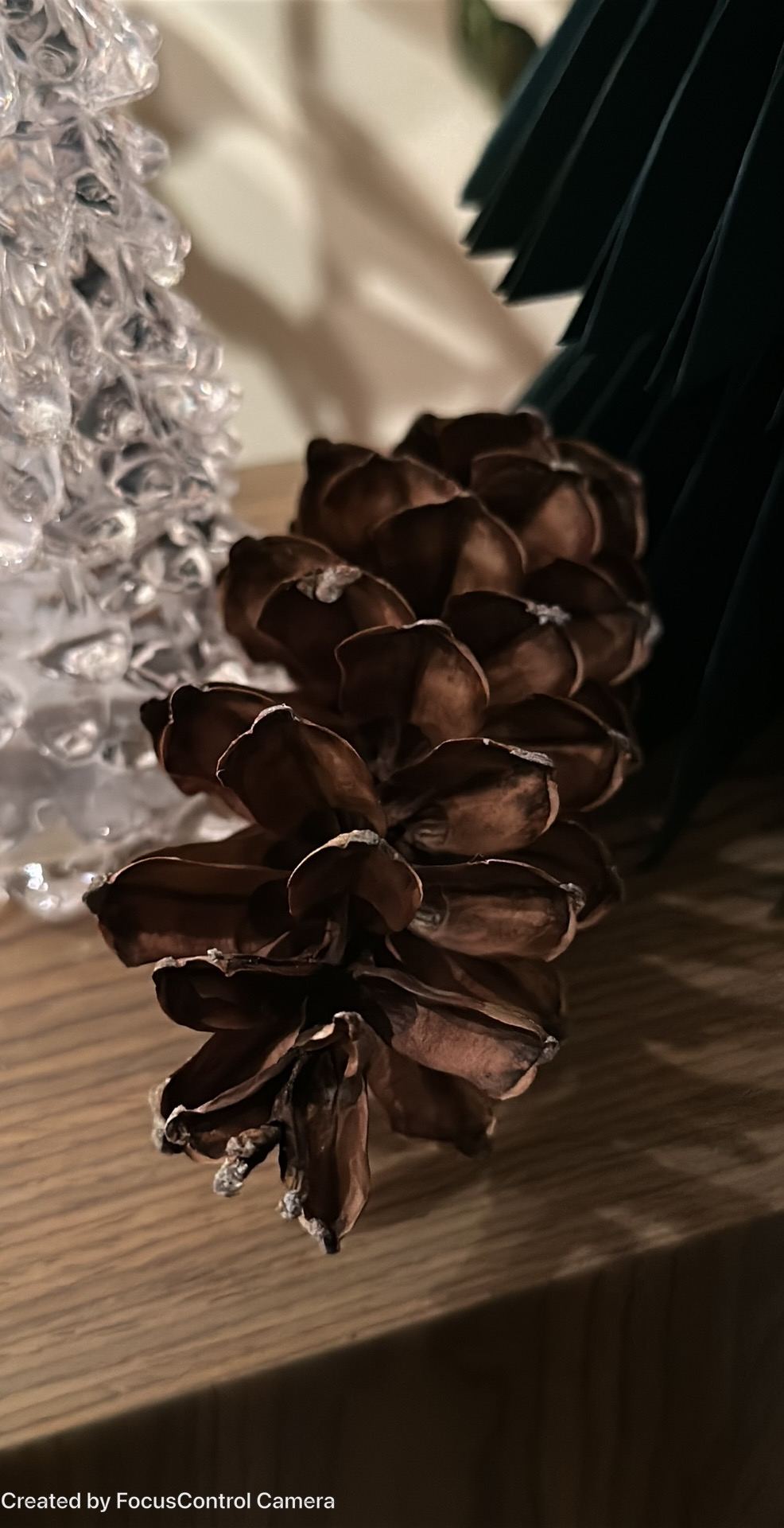 Sample photograph taken with Manual Focus Camera